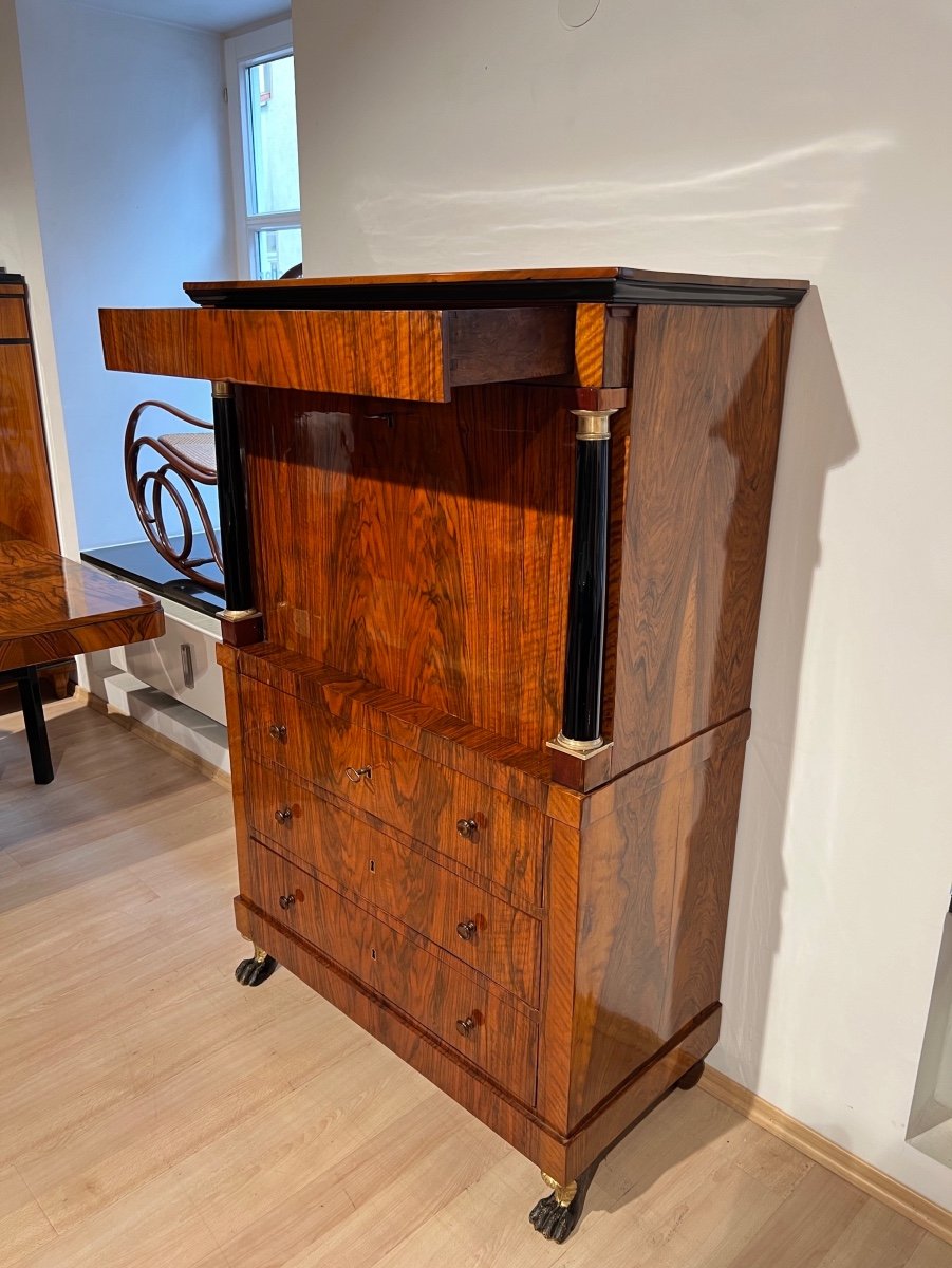 Biedermeier Secretary, Walnut, Maple, Paw Feet, Austria Circa 1820-photo-4