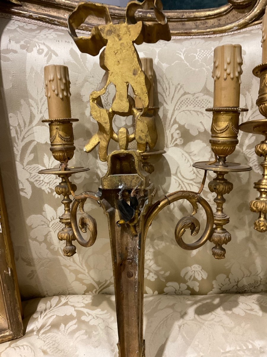 Pair Of Louis XVI Style Gilt Bronze Wall Sconces-photo-4