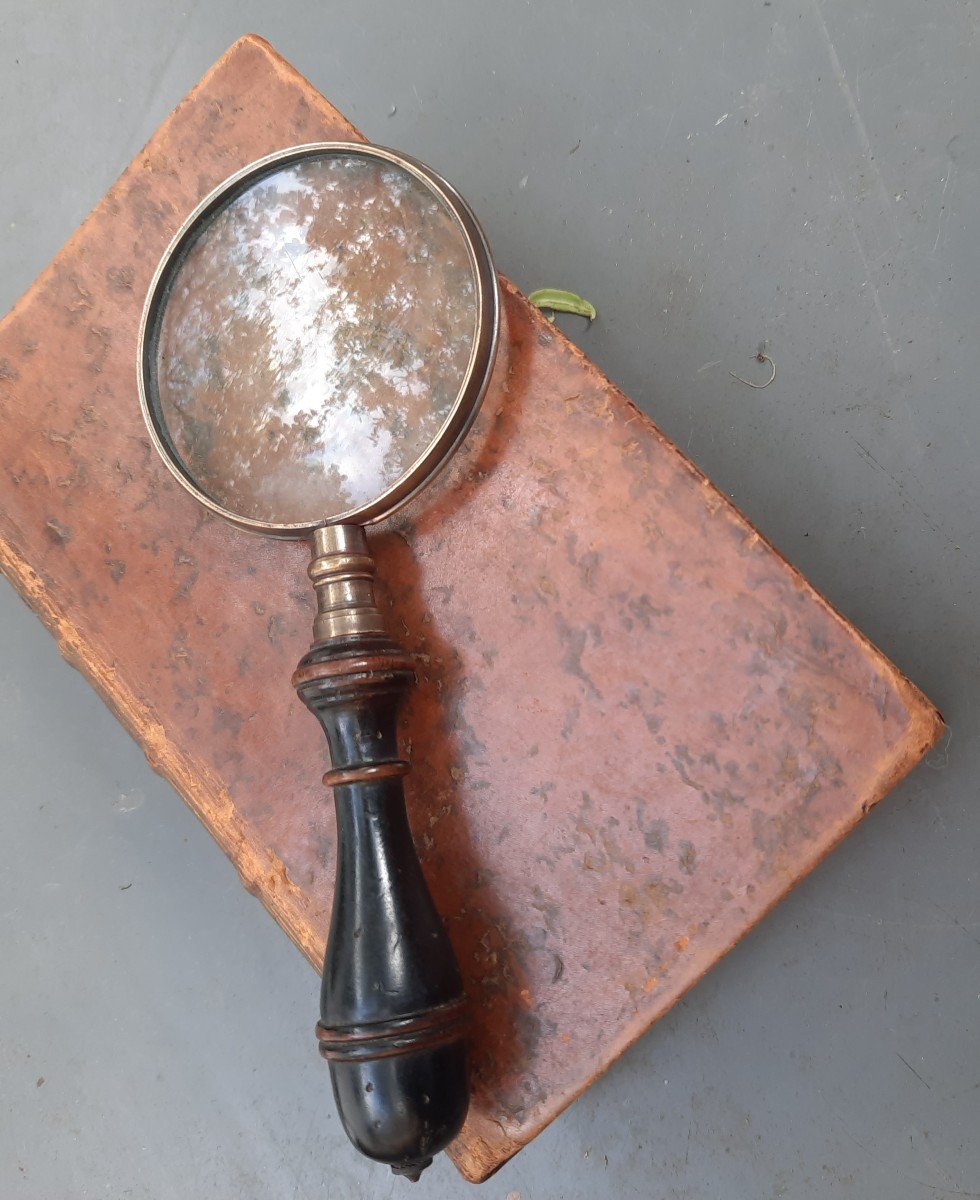 Hand Magnifying Glass Who Has Seen Others