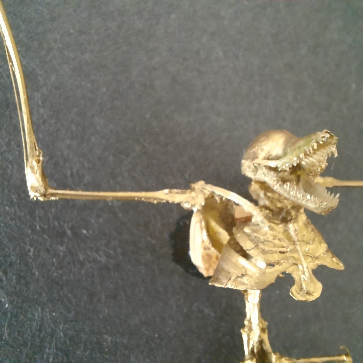 Very Golden Muscardin Skeleton-photo-4