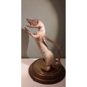 Unique Piece: Mummy Of Mustelide...