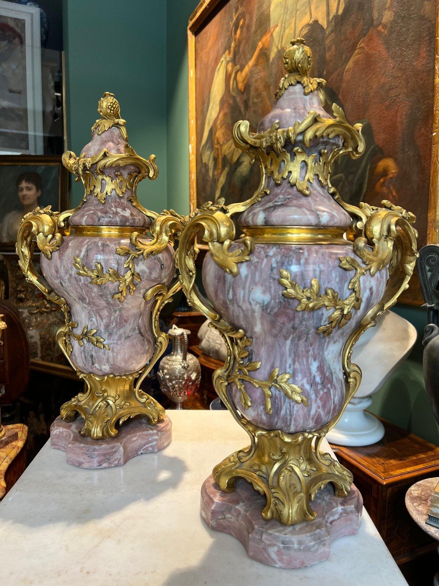 Pair Of Marble And Gilded Bronze Vases, France, 19th Century.