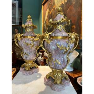 Paire De Vases En Marbre Et Bronze Doré, France XIXe Siècle.