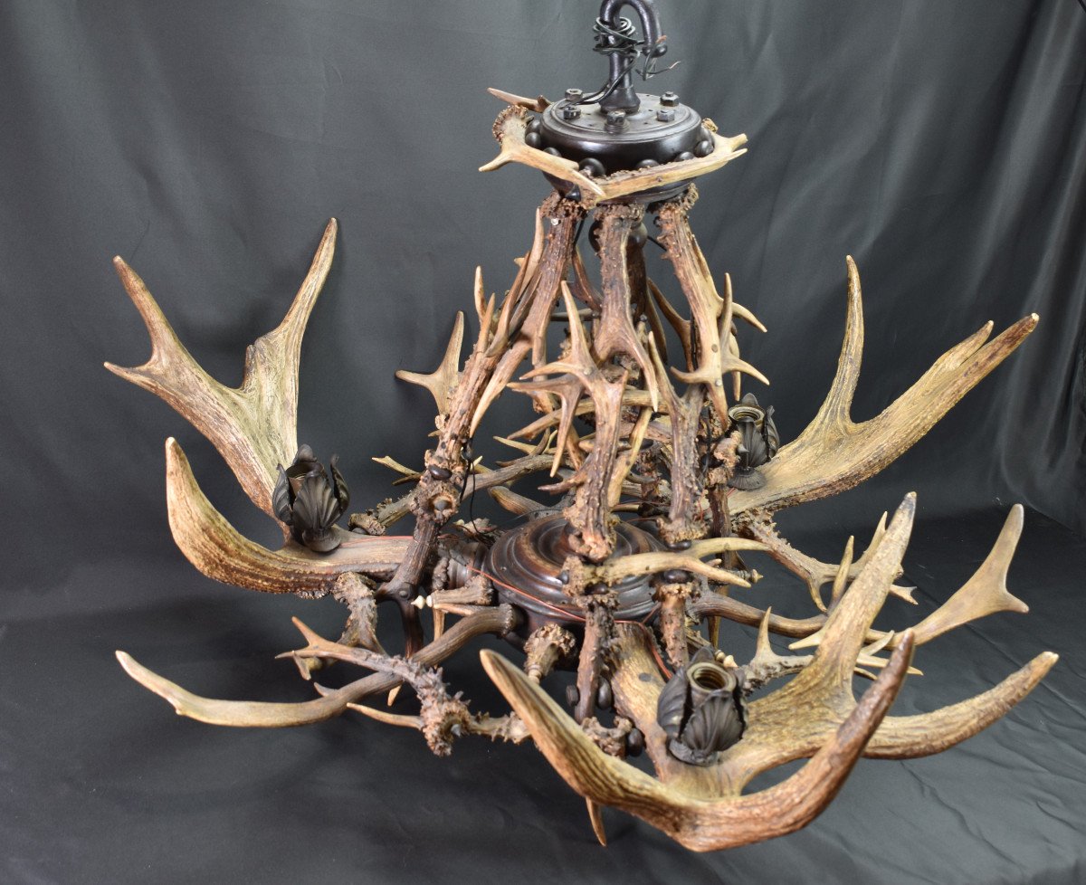 Deer Antler Chandelier-photo-2