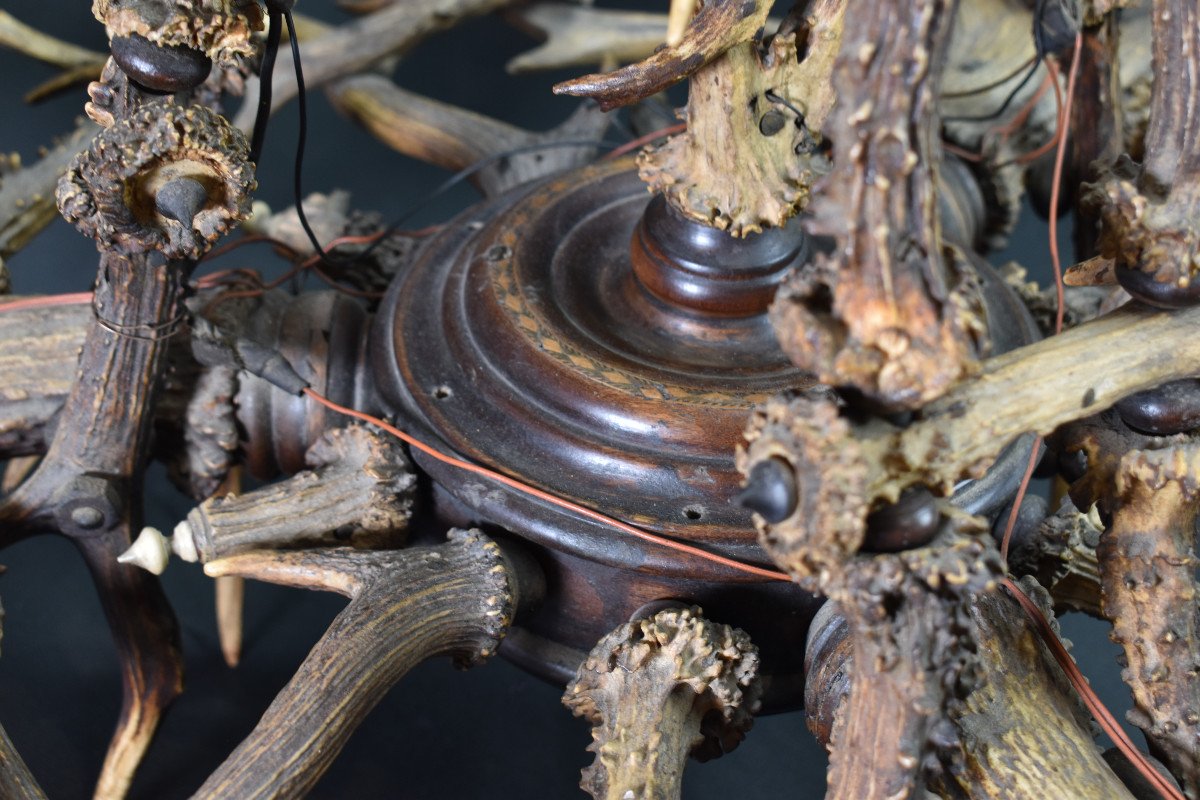 Deer Antler Chandelier-photo-4