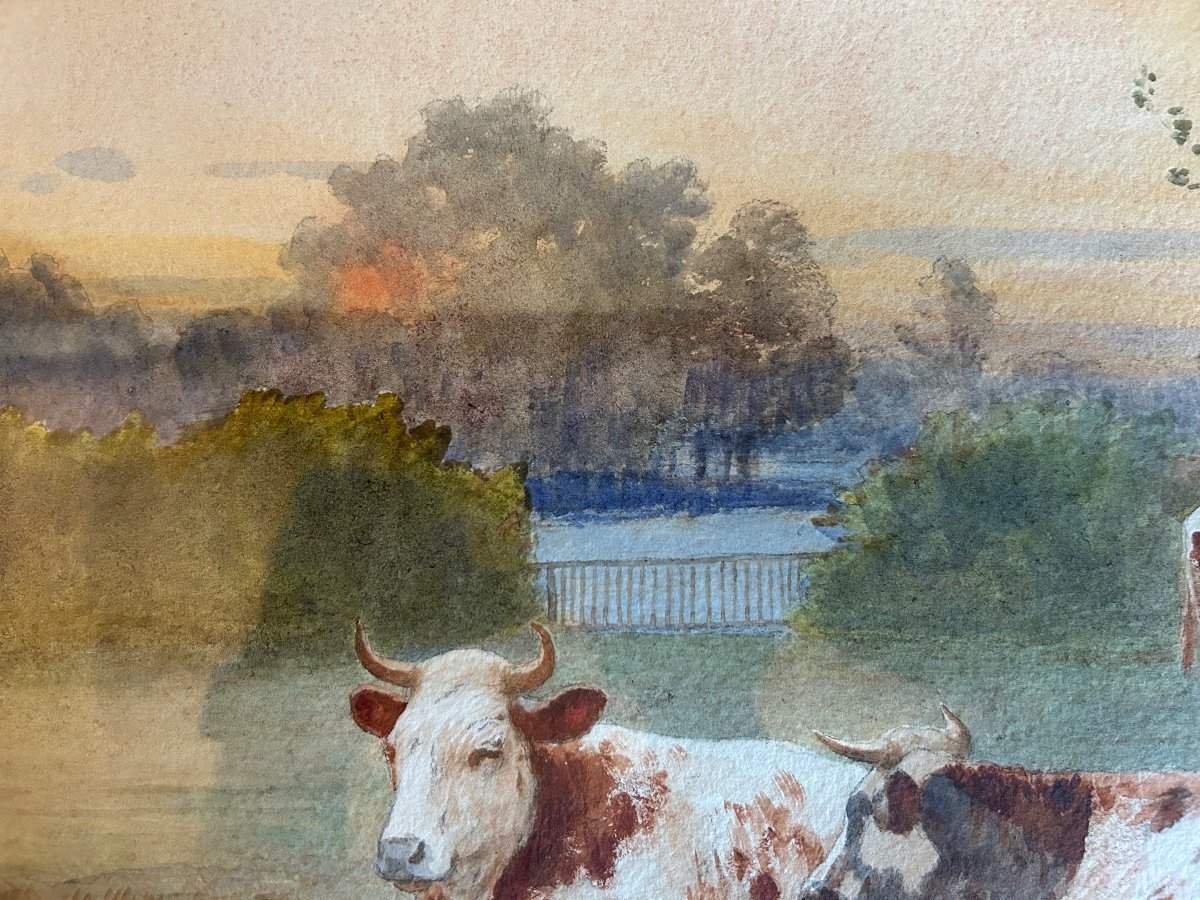 Aquarelle Albert Girard Les Vaches-photo-4