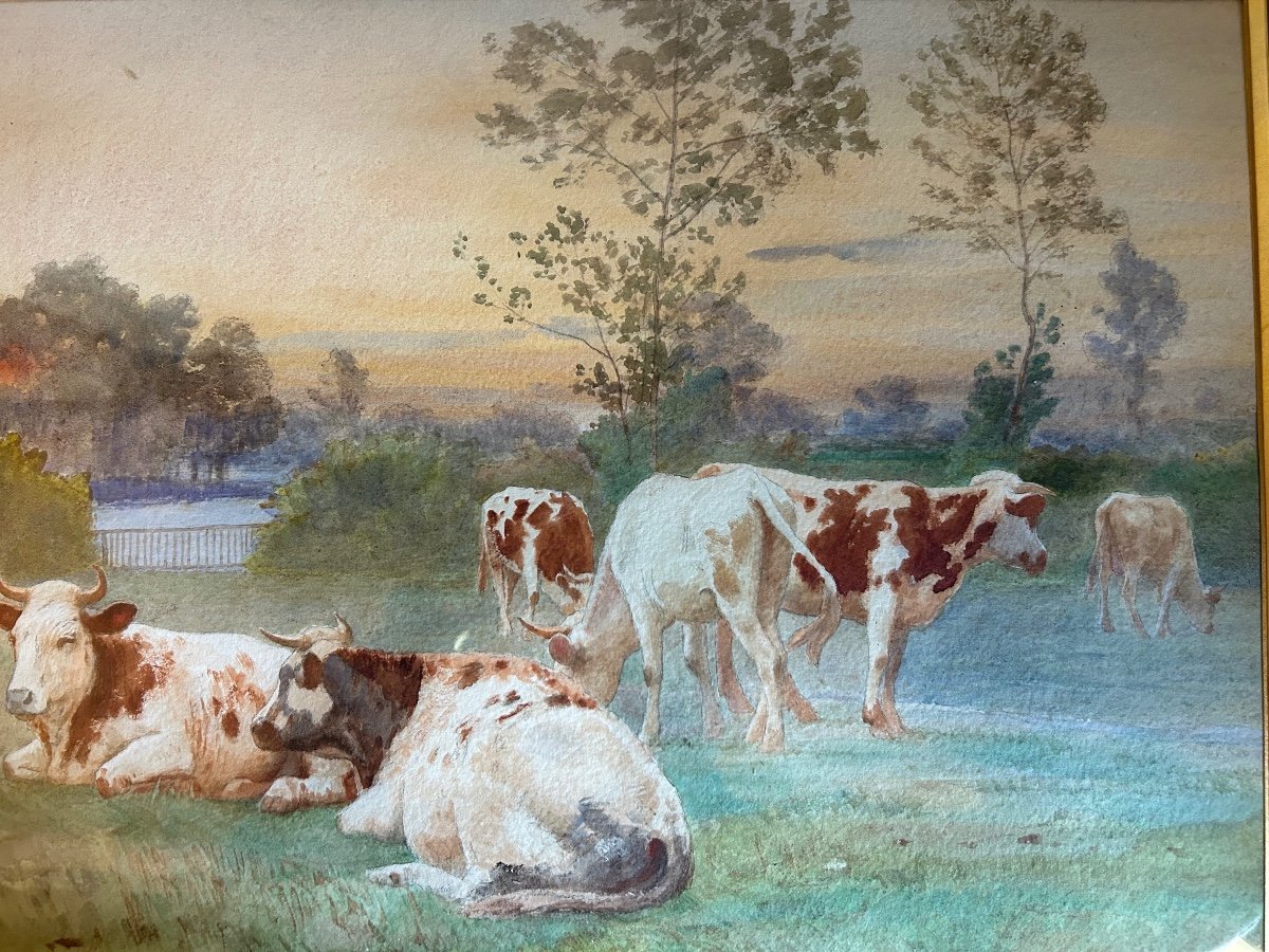 Aquarelle Albert Girard Les Vaches-photo-7