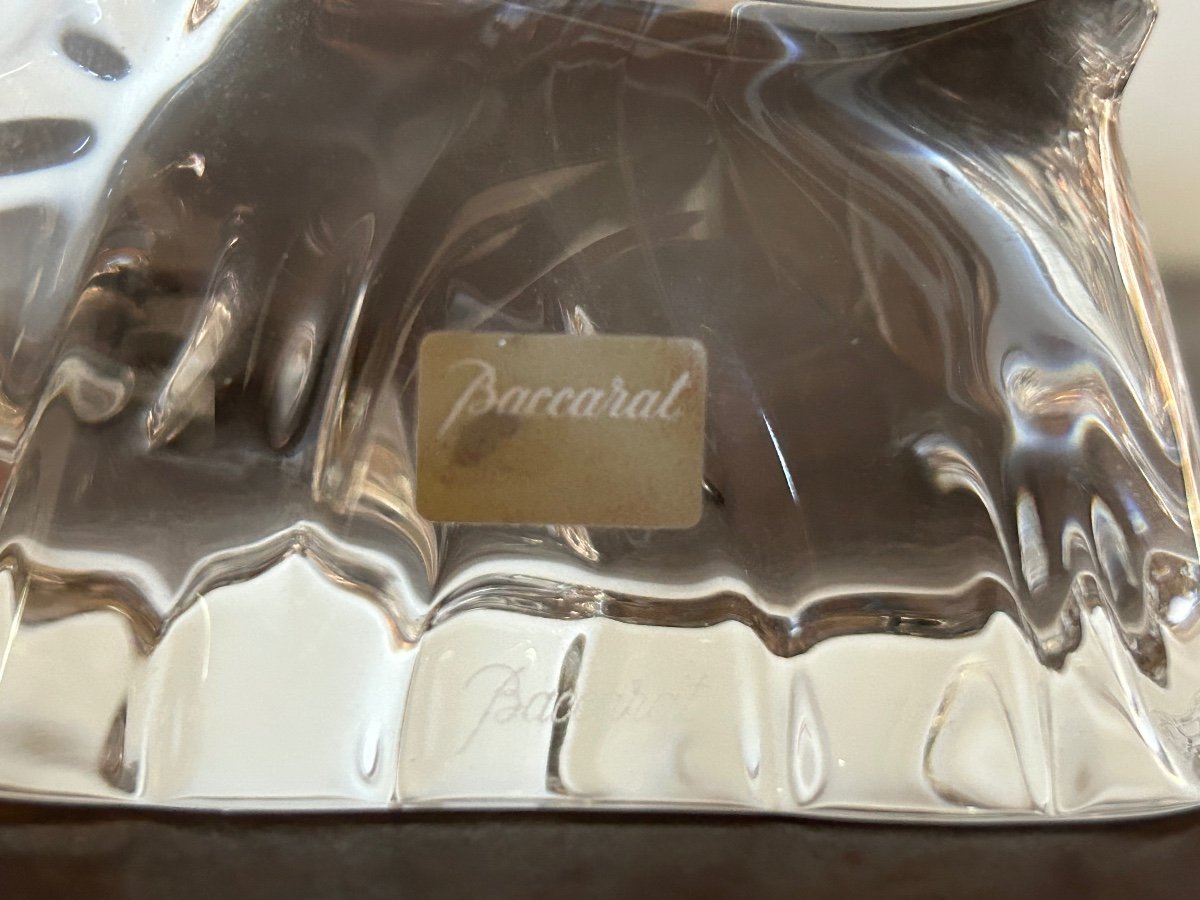 Baccarat Yorkshire Chien Cristal-photo-2