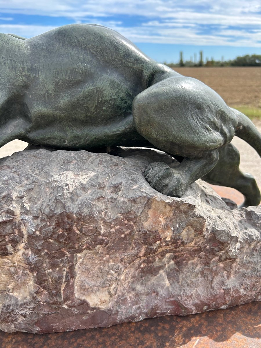 Sculpture Bronze Félin Giacomo Merculiano-photo-7