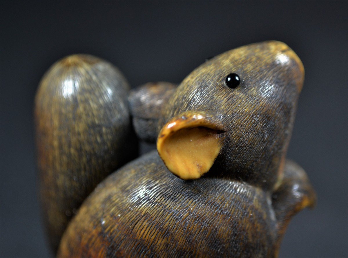 Boar Tooth Netsuke. Surprised Dormouse And Eggplant. Japan Edo Early 19th Century. Anonymous.-photo-3