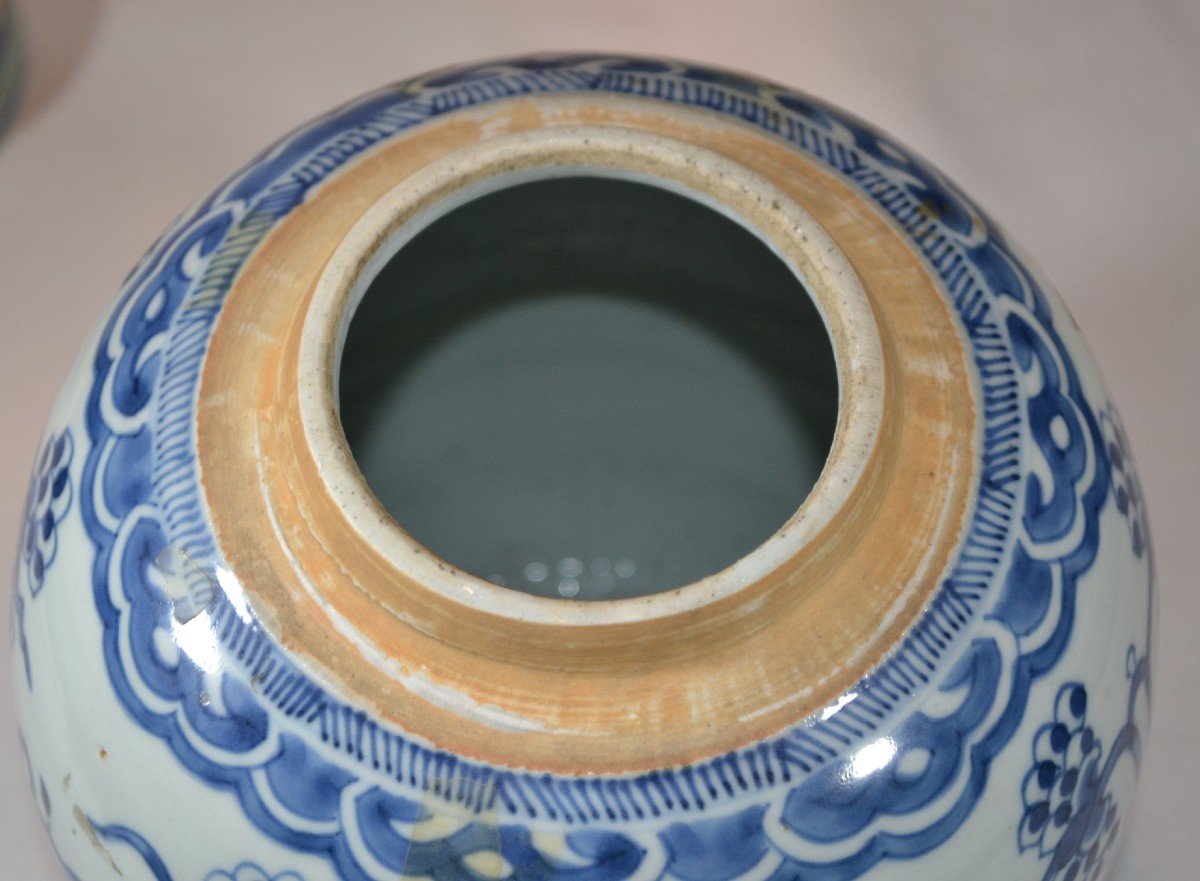 Pair Of Covered Jars In White And Blue Chinese Porcelain. 17th Century Period.-photo-7