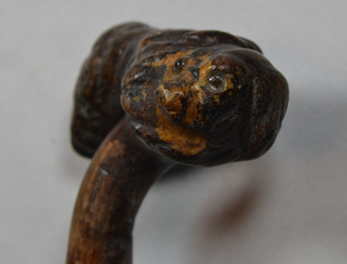 Wooden Cane Carved With Creatures. Old Folk Work-photo-6