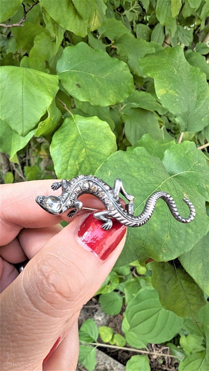 Antique Lizard Brooch In Gold, Silver And Diamonds Vintage Brooch-photo-3