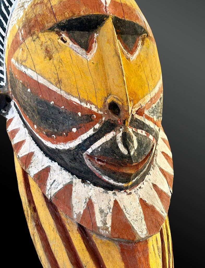 Yam Mask - Papua New Guinea - First Half Of The 20th Century-photo-3
