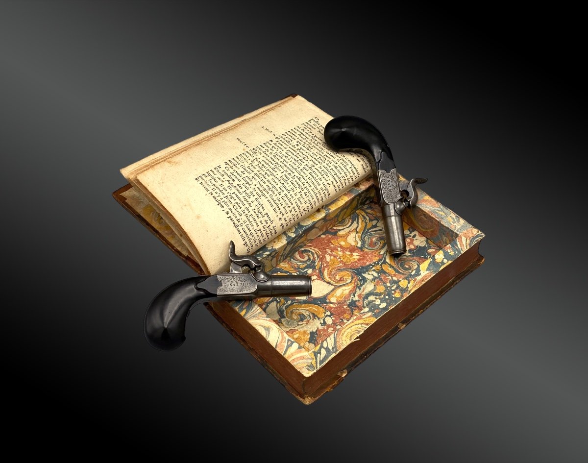 Secret Book With A Pair Of Chest Pistols By Salmon In Paris France 19th Century.-photo-2