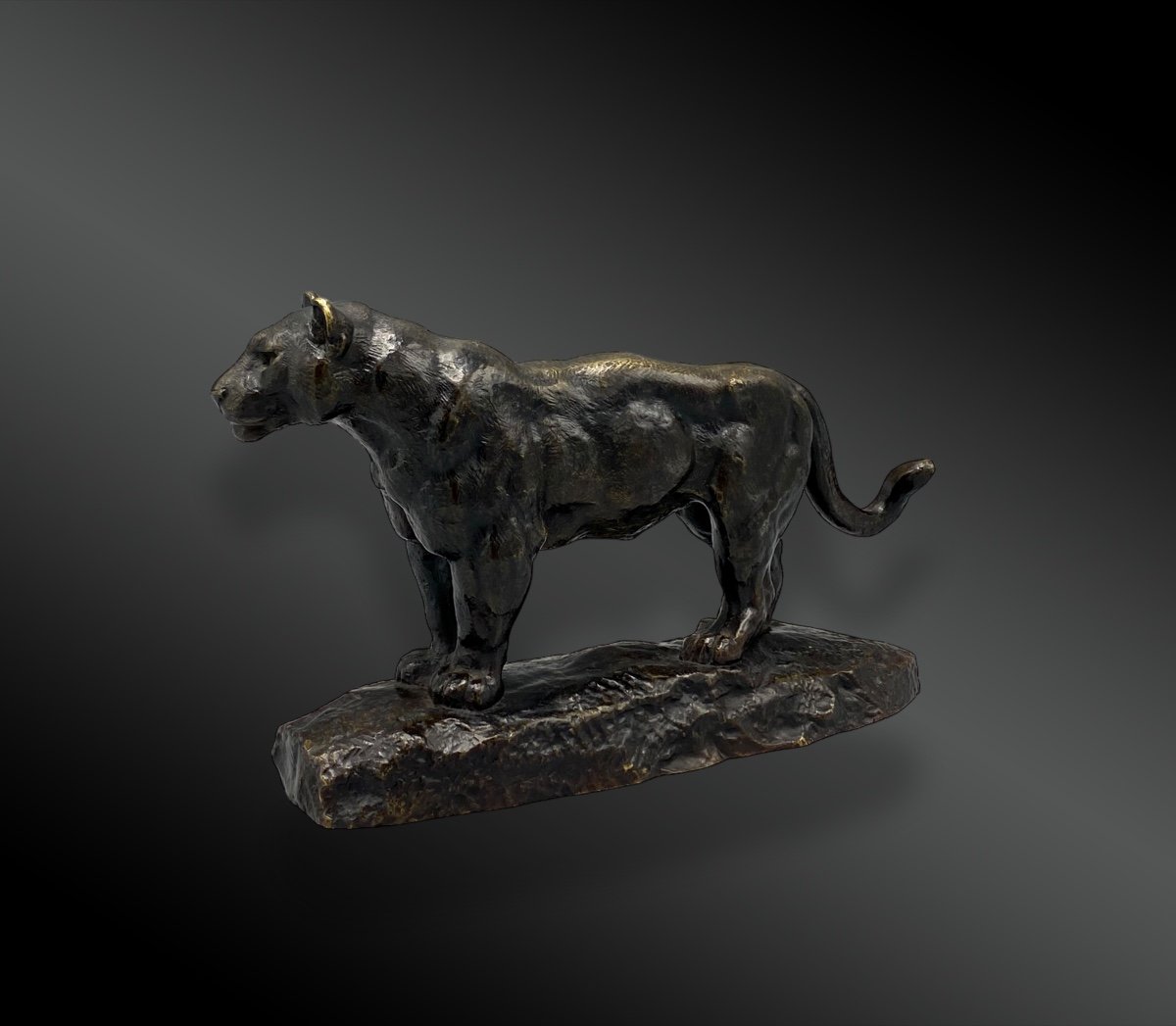 Standing Jaguar, After A Model By Antoine-louis Barye (french, 1796-1875) France, Circa 1880-photo-3