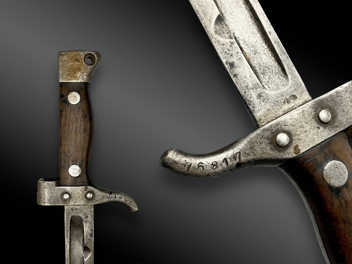 Sabre Bayonet, Model 1892, 2nd Type - France - 19th Century-photo-2