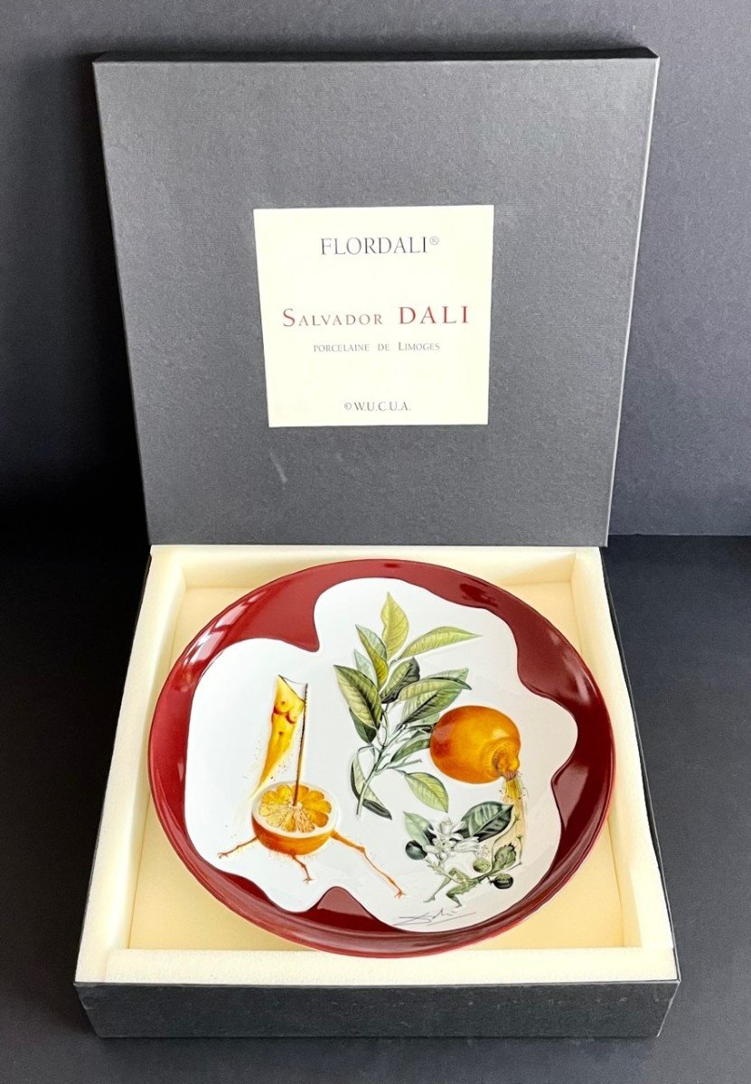 Grand plat en porcelaine de Limoges "Pamplemousse érotique" par Salvador Dali-photo-4
