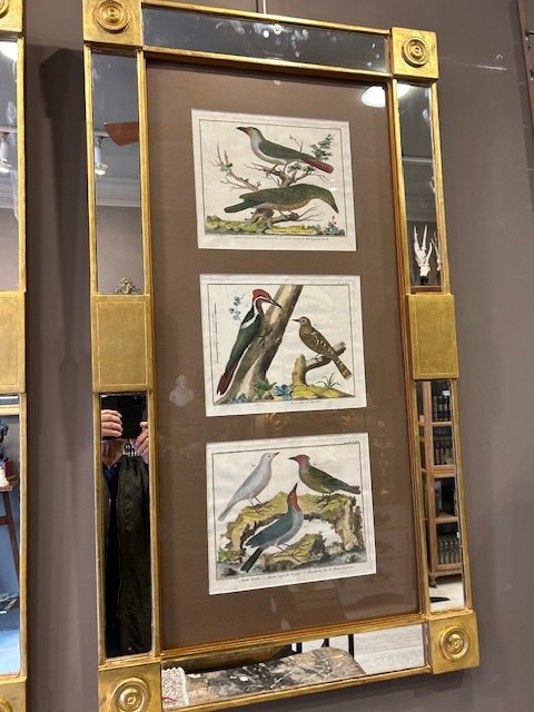 Paire d'Encadrements Avec 6 Gravures d'Oiseaux Du 18eme Siècle Par Martinet-photo-3