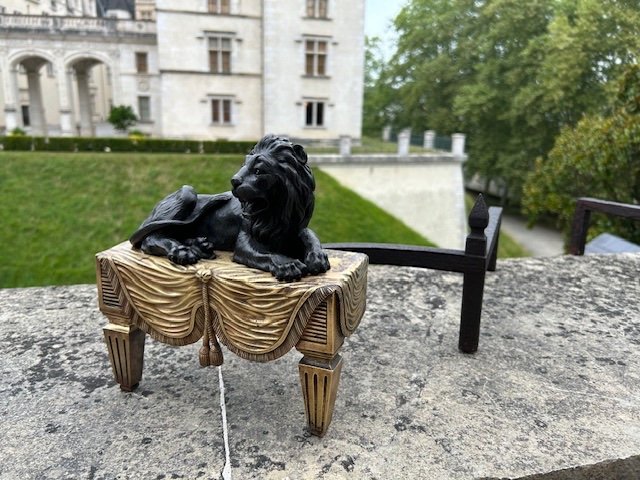 Paire De Chenets En Bronze dits " Aux Lions " d'époque Empire. XIX ème-photo-4