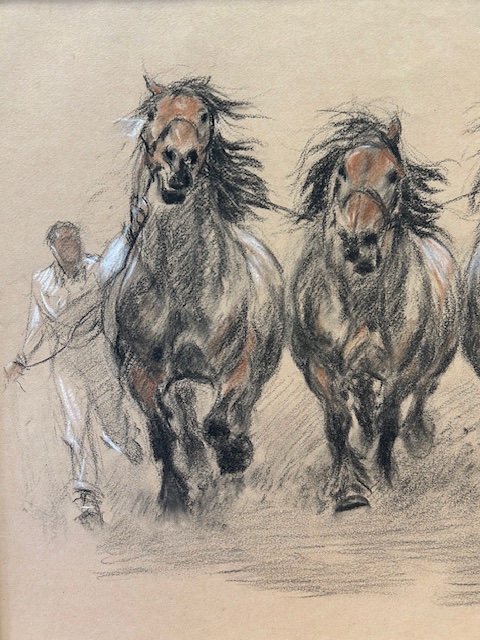 Painting Of Horses, Pastel By Louis Malespina (1874-1940) "presentation Of Draft Stallions"-photo-3