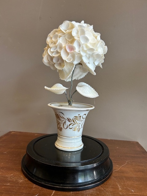 19th Century Paris Porcelain Bridal Vase With Shell Hydrangea Flower Under Globe 