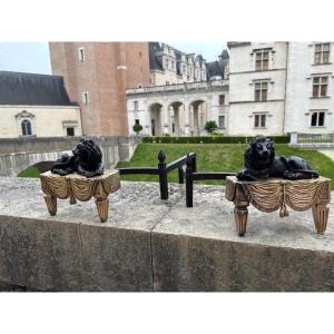 Paire De Chenets En Bronze dits " Aux Lions " d'époque Empire. XIX ème