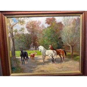 " Chevaux Au Haras "tableau Peint Par Auguste Vimar (1851-1916 ), Huile Sur Panneau.