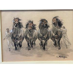 Painting Of Horses, Pastel By Louis Malespina (1874-1940) "presentation Of Draft Stallions"