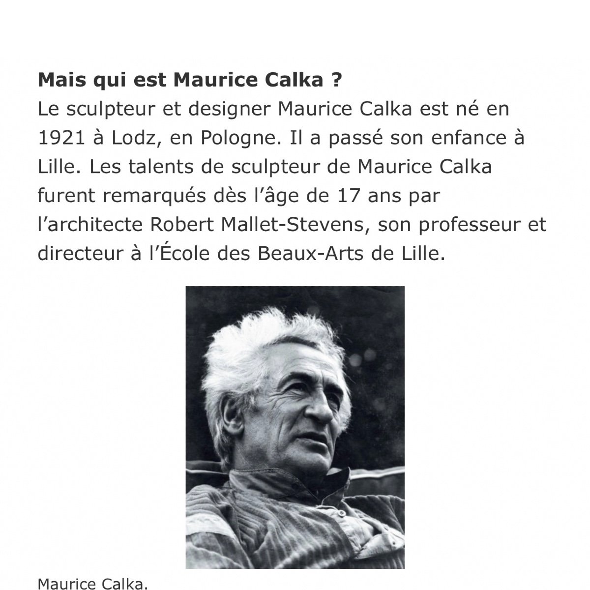 Calka Maurice ( 1921 - 1999 )-photo-3