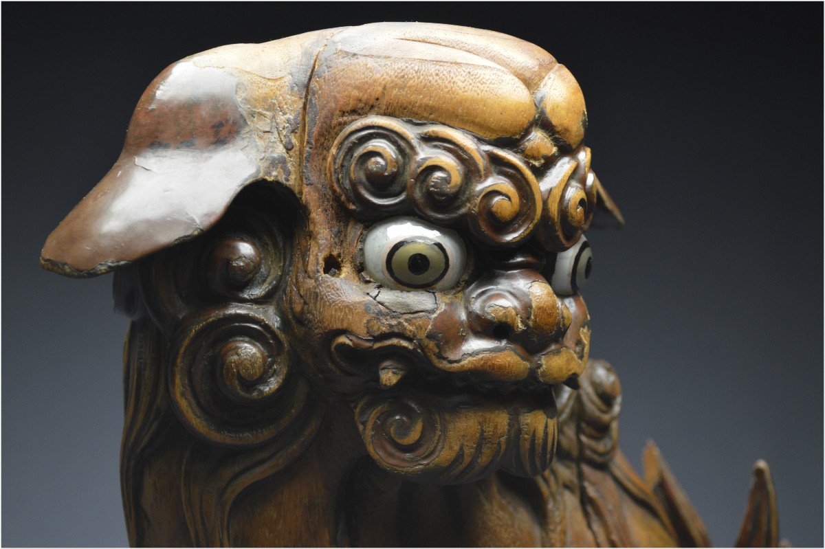 Japon, Époque Edo (1603 - 1867), Important lion gardien en bois avec traces anciennes de laque-photo-6