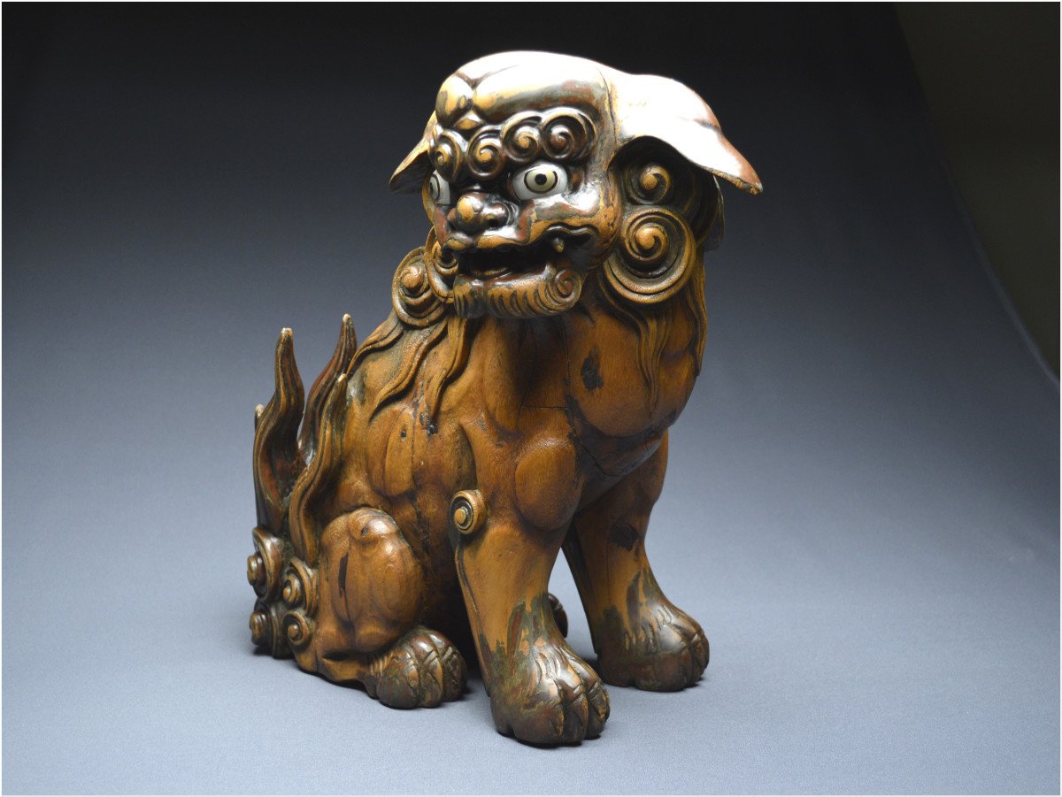 Japon, Époque Edo (1603 - 1867), Important lion gardien en bois avec traces anciennes de laque-photo-3