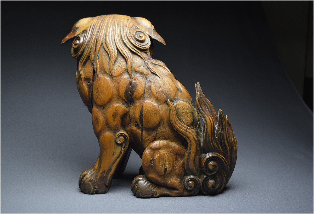 Japon, Époque Edo (1603 - 1867), Important lion gardien en bois avec traces anciennes de laque-photo-3