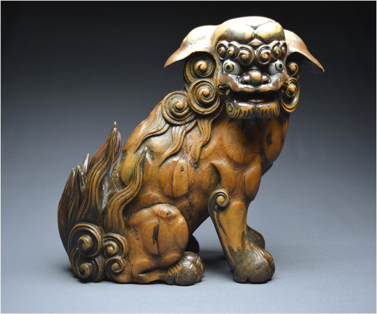 Japon, Époque Edo (1603 - 1867), Important lion gardien en bois avec traces anciennes de laque