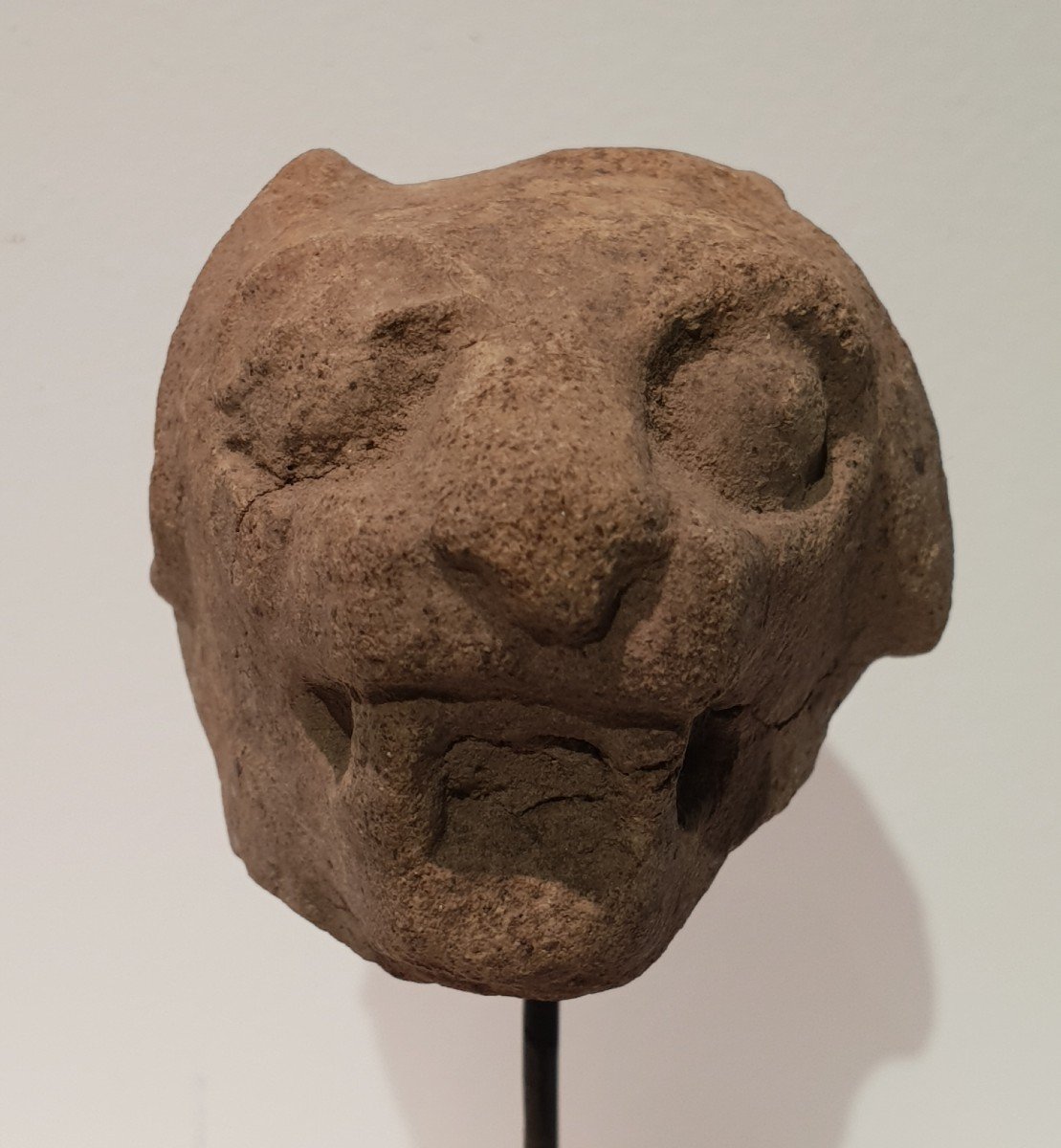 Feline Terracotta Head, Maya, Guatemala-photo-2