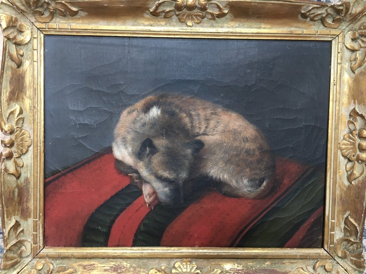 Portrait De Chien Huile Sur Toile Ancienne 