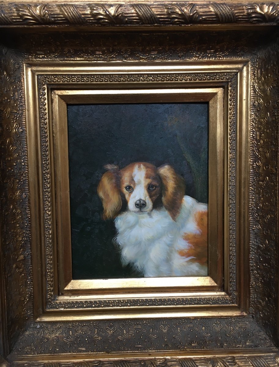 Huile Portrait De Chien Animal -photo-2