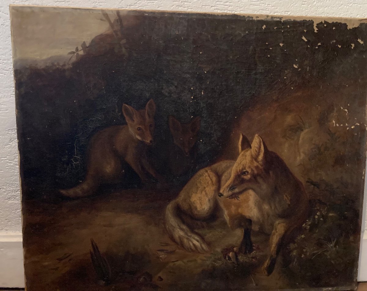 Oil On Canvas Foxes Animal Animals Landscape Old-photo-2