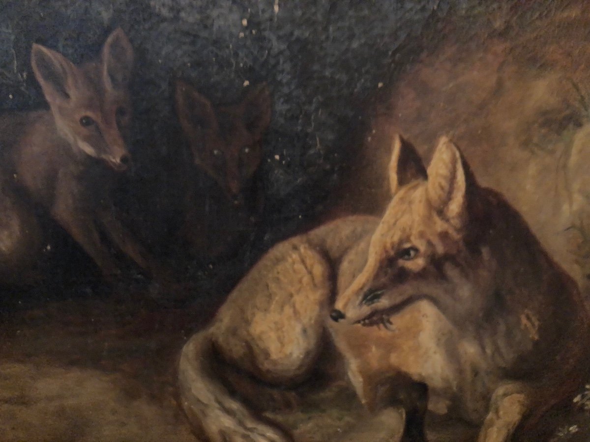 Oil On Canvas Foxes Animal Animals Landscape Old-photo-1