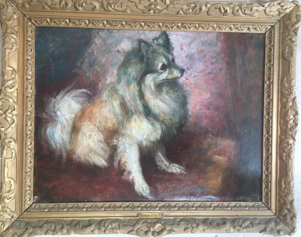 Portrait De Chien Ancien 