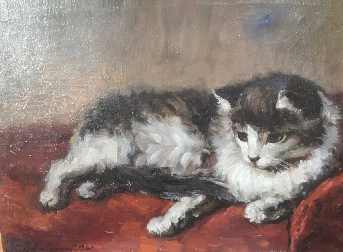 Portrait Of Impressionist Cat Oil On Canvas-photo-2