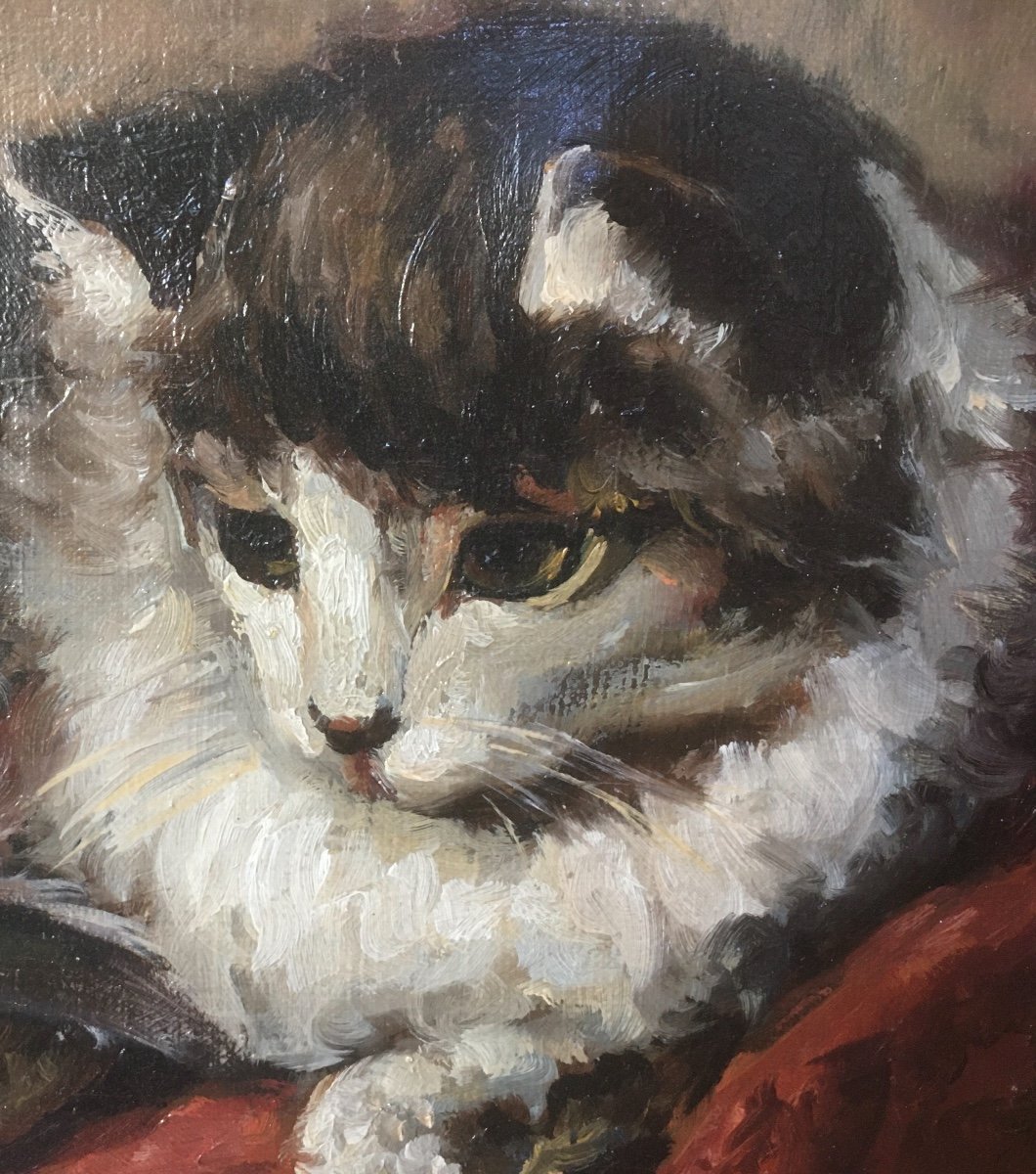 Proantic: Portrait Of Impressionist Cat Oil On Canvas