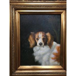 Oil Portrait Of Dog Animal 