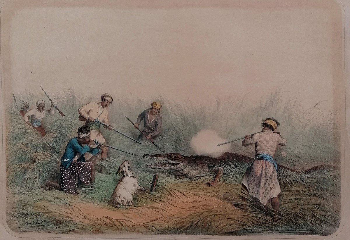 Lithographie - Chasse Au Crocodile A Java - Paris Wild - Lemercier Imprimeur - Milieu XIX Eme -