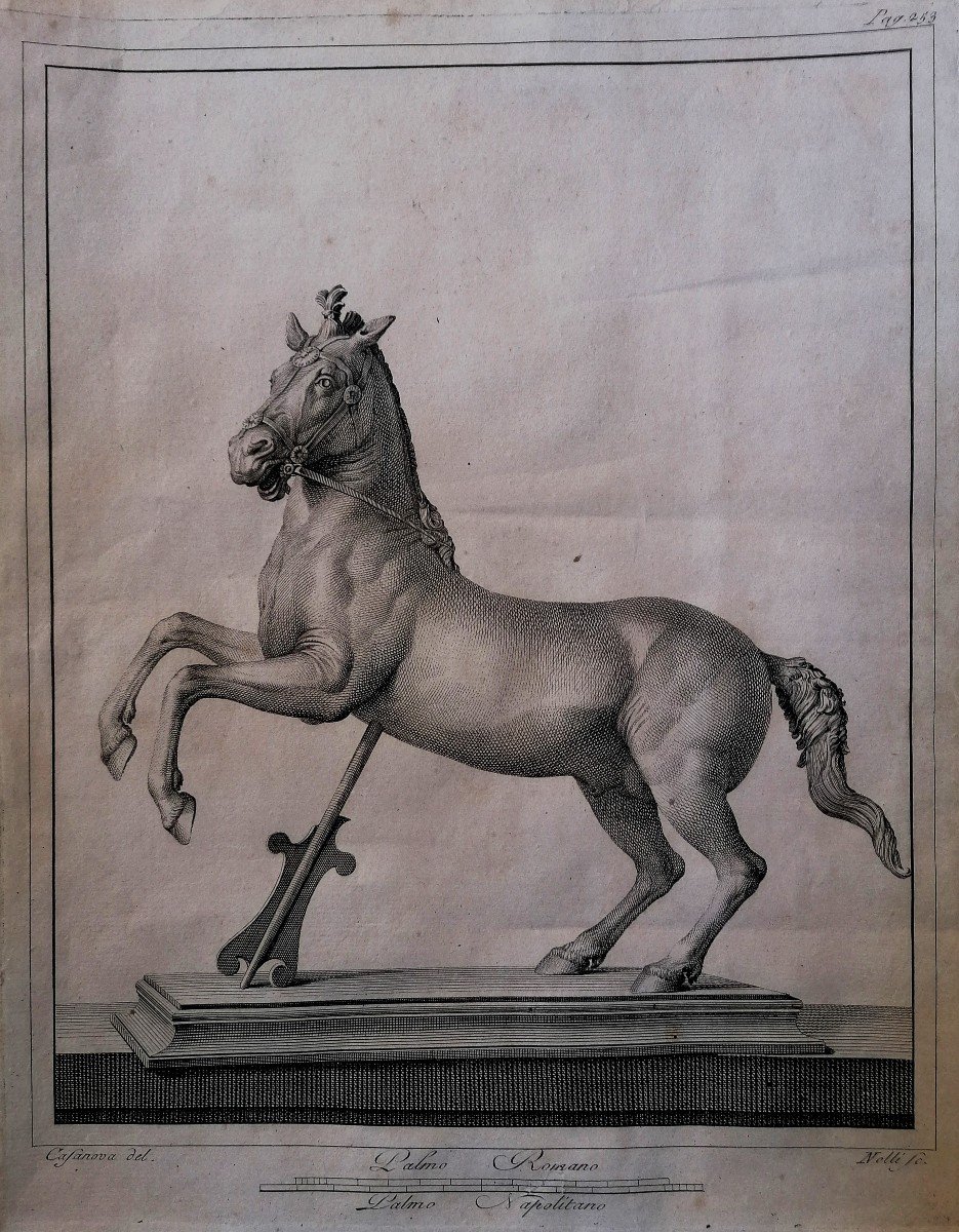 Engraving - Carlo Nolli - Prancing Horse - Herculaneum Antiquities Series - 18th Century - 