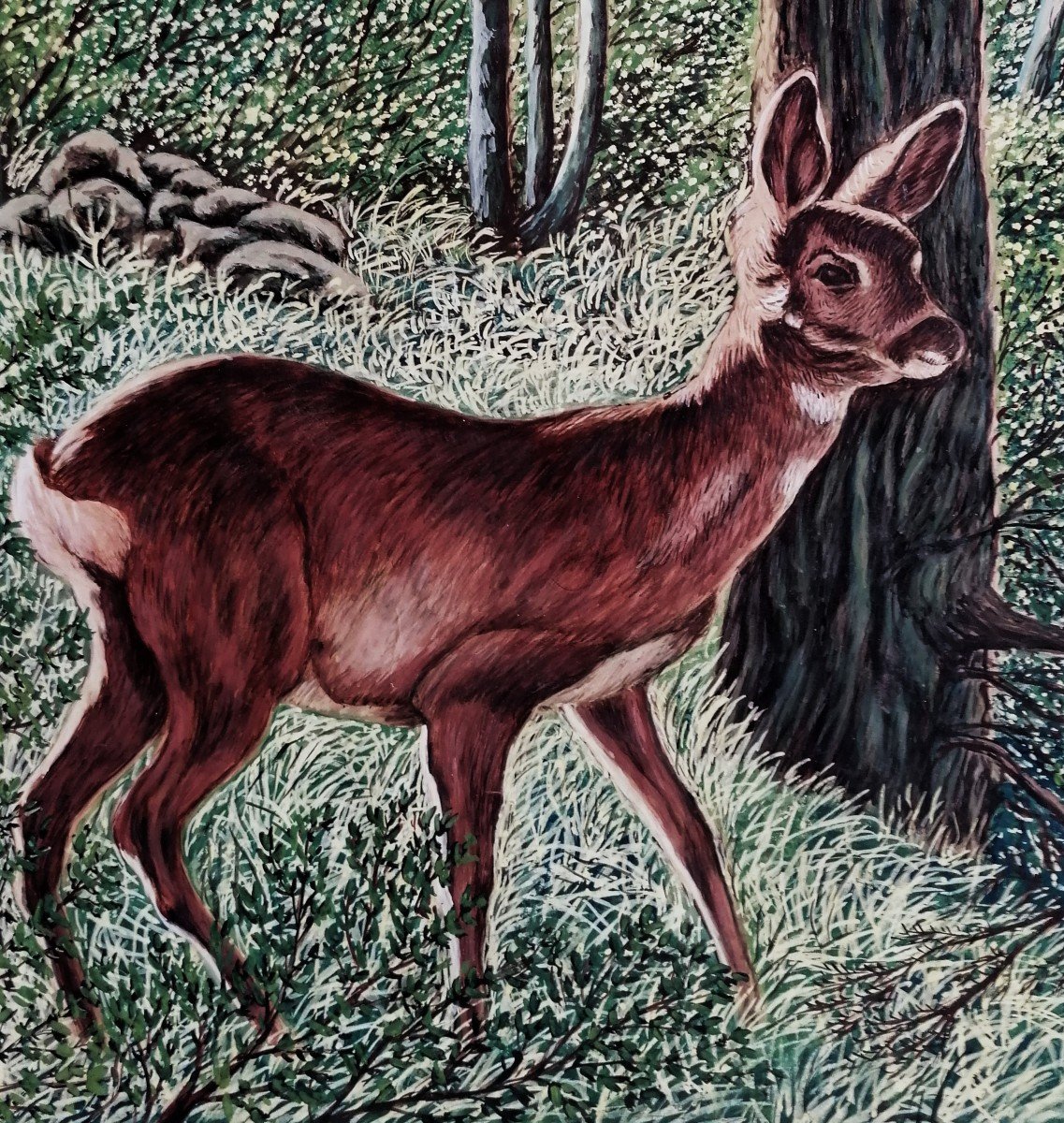 Aquarelle - Portrait d'une Biche Dans la Foret - XXème Siècle --photo-2