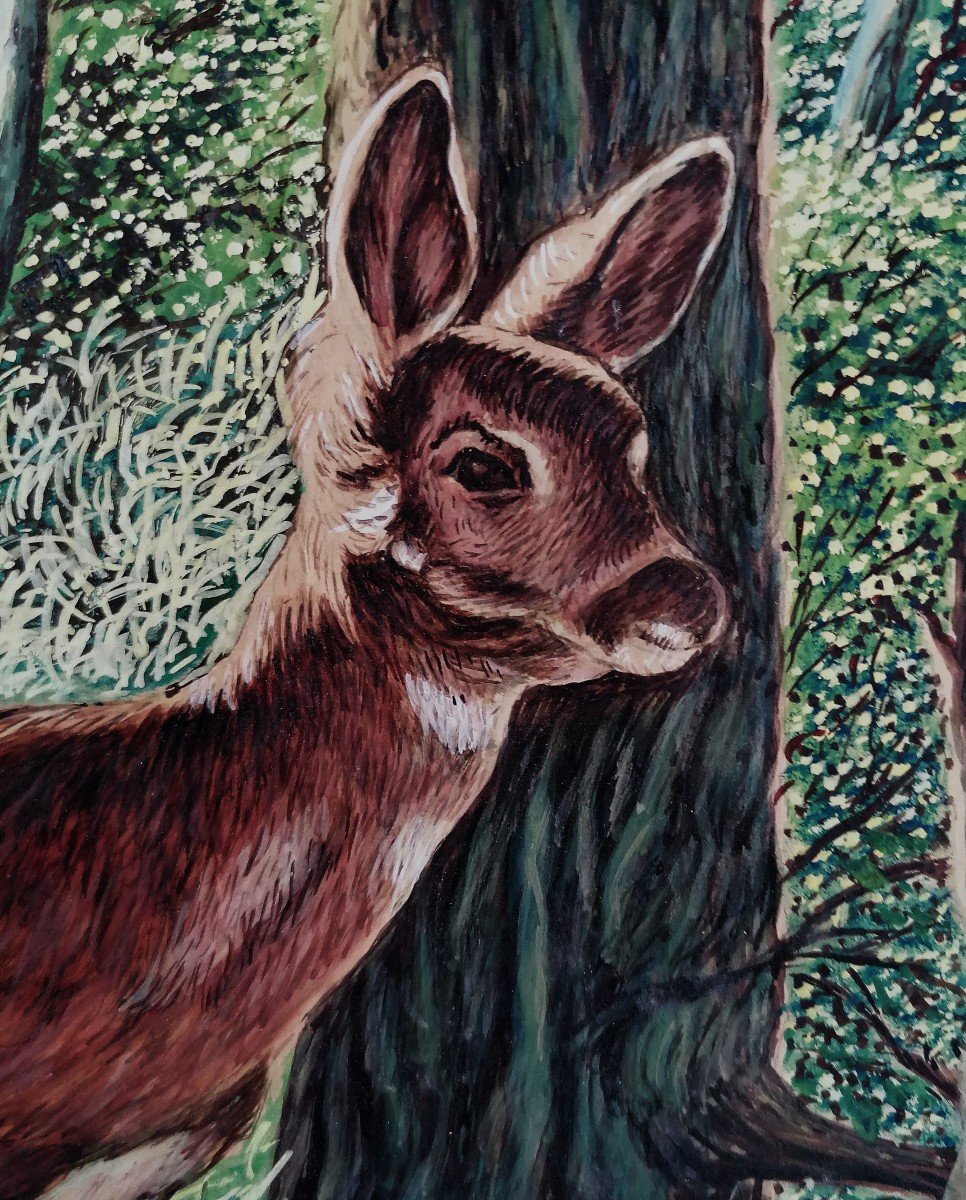 Aquarelle - Portrait d'une Biche Dans la Foret - XXème Siècle --photo-4