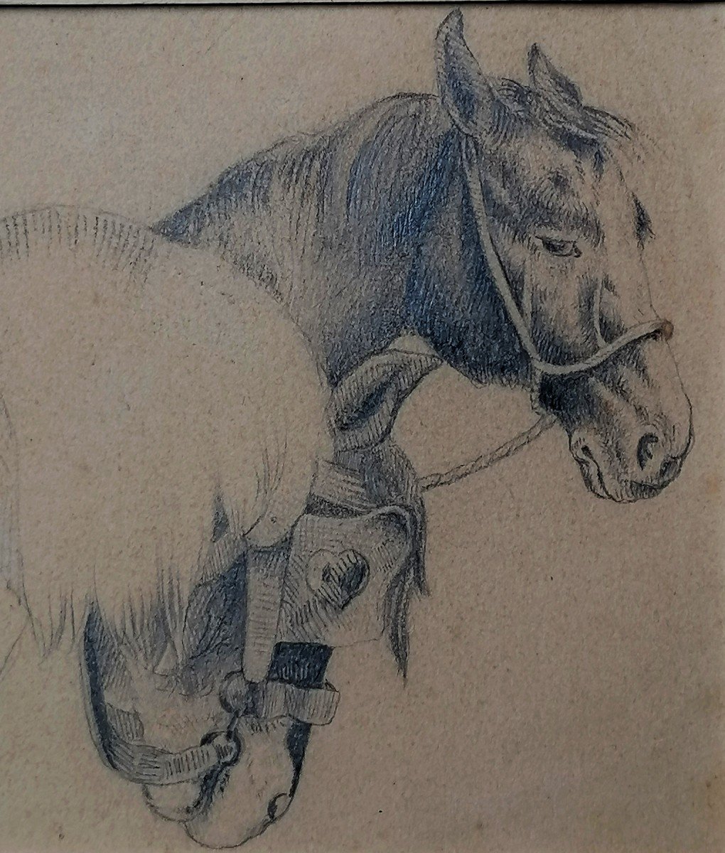 Francois Reynaud 1825-1909 - Dessin - Portrait ee Chevaux - XIXème --photo-2