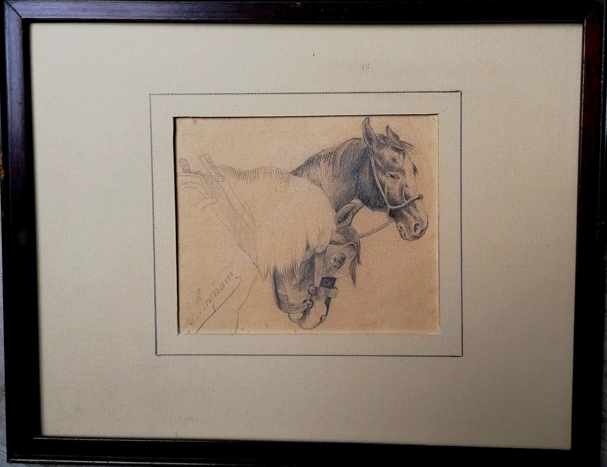 Francois Reynaud 1825-1909 - Dessin - Portrait ee Chevaux - XIXème --photo-4