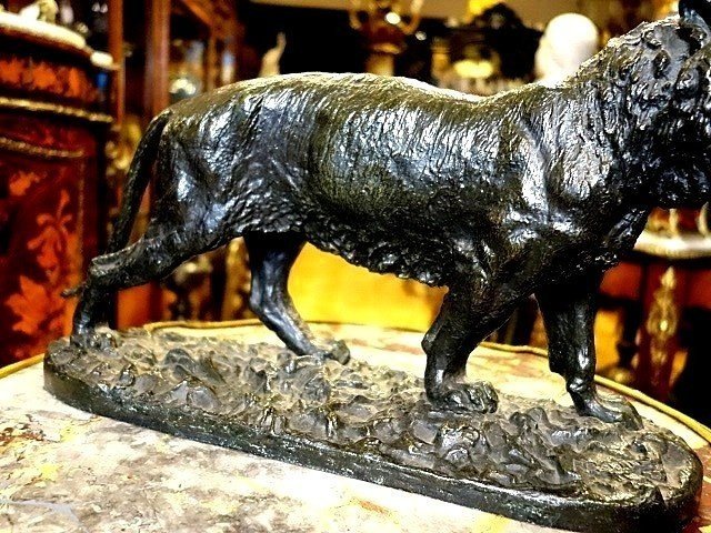 Animal Bronze By Christophe Fratin-photo-3